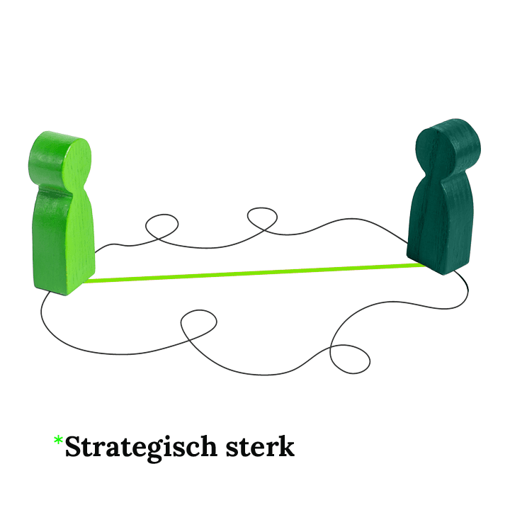 Projectmanager Consultancy